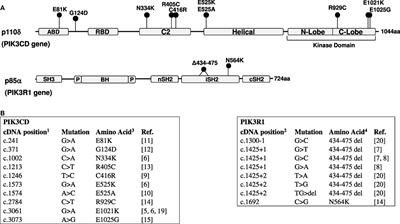 Activated PI3 Kinase Delta Syndrome: From Genetics to Therapy